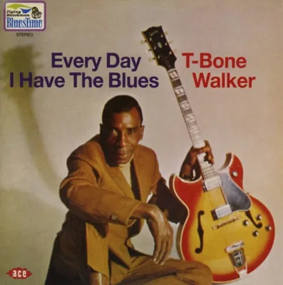 Immagine prodotto di Ogni giorno ho il blues