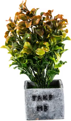 Produktbild von Künstliche Blumen im Topf 18cm - Realistische Deko Pflanze - Pflegeleichte Wohnkultur