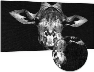 Produktbild von DEQORI Hybrid Leinwand Bild 100x50 cm 'Giraffenporträt' Wandbild Glas flach modern