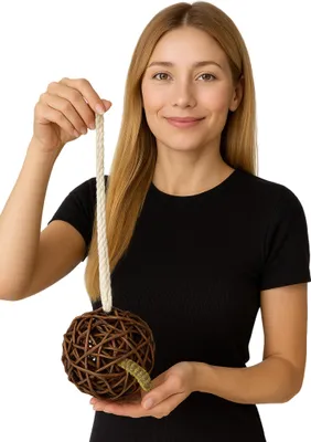 Produktbild von Jr Farm Weidenkugel Mit Hirse - Knuspriger Snack Für Papageien, 25G