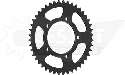 Produktbild von Esjot Kettenrad 520 42z Stahl schwarz