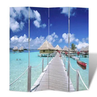 Image de vidaXL Séparation de pièce pliable 160 x 170 cm Plage
