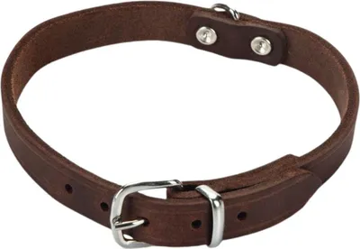 Produktbild von Beeztees 735344, Hund, Standardkragen, Braun, Leder, Einfarbig, 32 cm