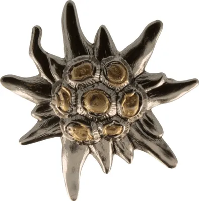 Hutanstecker Edelweiß groß von Hut-Breiter in silber