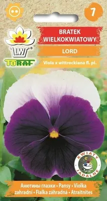 Zdjęcie produktu dla Bratek wielkokwiatowy LORD Nasiona kwiatów - 462 Toraf