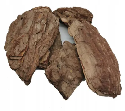 Produktbild von Enchanted Kiefernrinde Dekoration Rustikale Natur 4 Stück