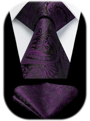 Image de Ensemble de cravates pour hommes, motif paisley, couleur lilas, avec mouchoir de poche assorti