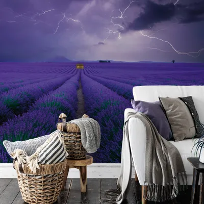 Produktbild von A.S. Création Vlies Fototapete Lavendel Field of Natur DD118963 Designwalls