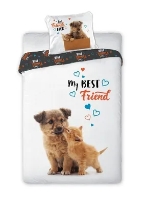Produktbild von Baumwolle Bettwäsche 140x200 + 70x90 cm Animals Best Friends Kids