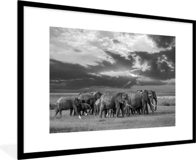 Produktbild von MuchoWow® Gerahmtes Poster Elefantenherde an einem See - schwarz und weiß 90x60 cm - Poster mit Schwarzem Bilderrahmen Wandposter Rahmen Foto Bilder - Wanddekoration - Fotos