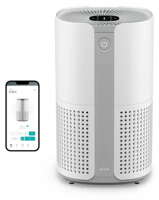 Productafbeelding van Bright 2 Smart luchtreiniger met een CADR-waarde van 210, een luchtkwaliteitsindicator en een ionisator. Verwijdert tot wel X% van de verontreinigingen in ruimtes tot 42 m². Wit