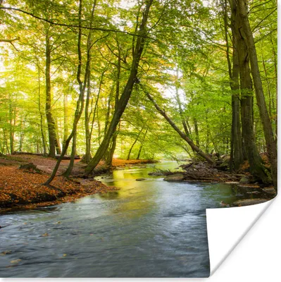 Produktbild von MuchoWow® Poster Ein dunkler Fluss inmitten eines dänischen Waldes 50x50 cm - Wohnzimmerdekoration
