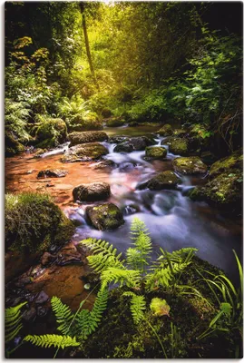 Produktbild von ARTland Leinwandbild Wildbach im Wald Größe: 20x30 cm