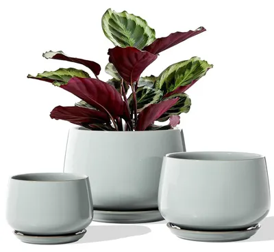 Immagine prodotto di Set di 3 vasi in Vetroceramica per piante, con sottovaso, nei colori blu e grigio, nelle dimensioni 10, 13 e 16 cm