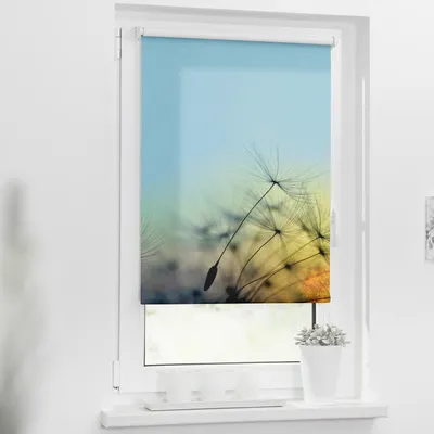Obrázek produktu pro Roleta na okno Lichtblick bez vrtání Pampeliška 60x150 cm včetně upínacích držáků