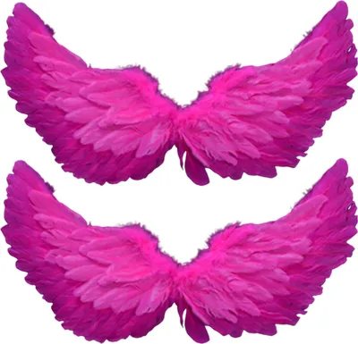 Two pairs of pink feather wings are displayed against a white background.
