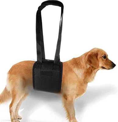 Produktbild von Hauszugang für ältere oder kranke Hunde, klassisches Hebeservier, L-Größe, bequeme Unterstützung.