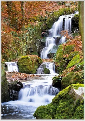 Produktbild von Wallario Wandbild Bach im Wald, Größe: 70,30 x 100,30 cm, Poster mit weißem Kunststoffrahmen