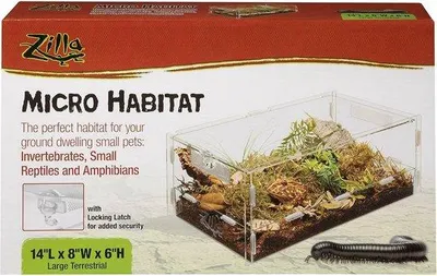 Produktbild von Famanu Terrarium für kleine Reptilien, Amphibien oder Insekten - Transparente Kweekkooi