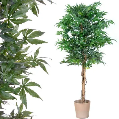 Obrázek produktu pro PLANTASIA Umělá rostlina strom, konopí, 150 cm