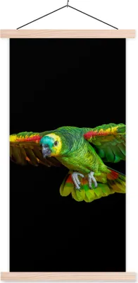 Produktbild von MuchoWow® Textilposter Papagei - Vogel - Federn 40x80 cm mit holzfarbenen Rahmen - Wohnzimmer