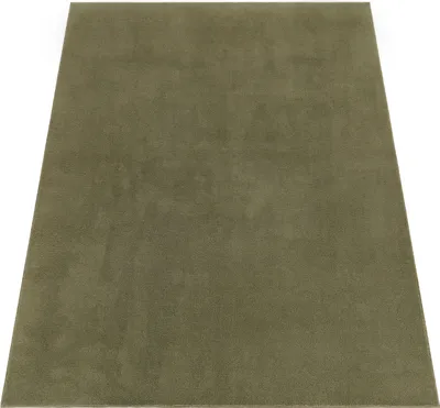 Produktbild von Waschbarer Teppich Wohnzimmer Kurzflor Einfarbiger Moderner Stil Weich grün Grösse 300x400 cm