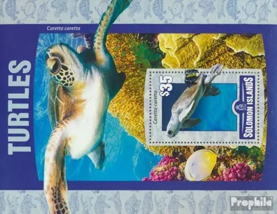 Produktbild von Briefmarken Salomoninseln 2016 Mi Block 490 (kompl. Ausg.) postfrisch Schildkröten