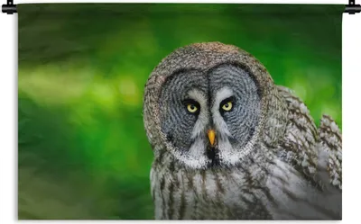 Produktbild von MuchoWow® Wandteppich Wandbehang Vogel - Eule - Tiere - Braun - Porträt 150x100 cm Tapisserie Dekoration Wandtuch - Waschbar - Tapisserien - Wand-Decke