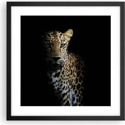 Produktbild von Gerahmtes Poster - Schwarzer Rahmen - Schattig Leopard Panther - 40x40 cm - Wand Bild - Wanddeko - Wandbilder - Kunstposter - Wandposter - Bilderrahmen - Bilder - Kunstdruck - P2BAC40x40-4585
