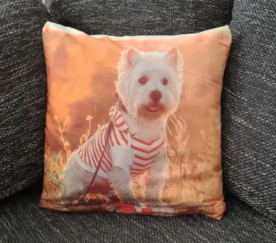 Produktbild von Dekorativer Tier Kissenbezug: Süßer Hund - 40cm x 40cm