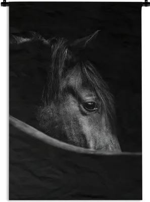 Produktbild von MuchoWow® Wandteppich Wandbehang Pferde - Porträt - Schwarz - Tiere 120x180 cm Tapisserie Dekoration Wandtuch - Schlafzimmer - Dekorationen für das Haus