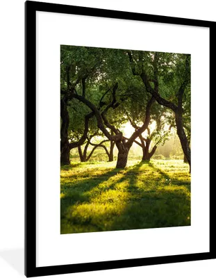 Produktbild von MuchoWow® Gerahmtes Poster Bäume - Natur - Sonne 60x80 cm - Poster mit Schwarzem Bilderrahmen Wandposter Rahmen Foto Bilder - Wohnzimmer - Dekorationen - Prämie