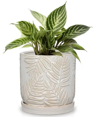Image de Pot en céramique beige avec soucoupe, 14 cm