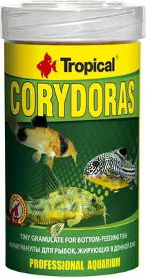 Produktbild von Corydoras (100 ml)
