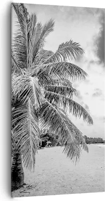 Produktbild von Bild auf Leinwand - Leinwandbild - Einteilig - Monochrom Strand Wolken - 65x120cm - Wand Bild - Wanddeko - Wandbilder - Leinwanddruck - Bilder - Wanddekoration - Leinwand bilder - PA65x120-4677
