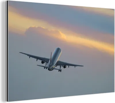 Obrázek produktu pro Nástěnná dekorace Kovový kovový obraz Wall Art 90x60cm Letadlo letící k západu slunce Muchowow Hliníkové obrazy