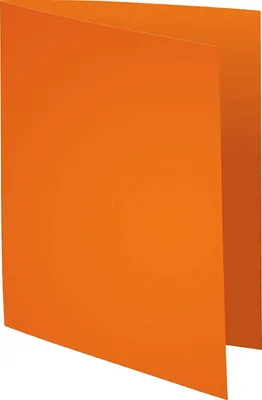 Imagen del producto de EXACOMPTA Aktendeckel FOREVER 250, DIN A4, orange
