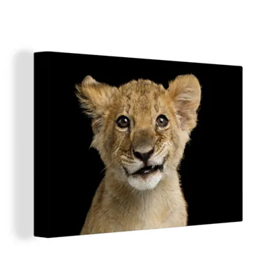 Obrázok produktu pre OneMillionCanvasses® - Maľba na plátne - Obraz na plátne Nástenná maľba na plátne - Mláďa - Portrét - Farby - 150x100cm - Fotografia na plátne - maľba