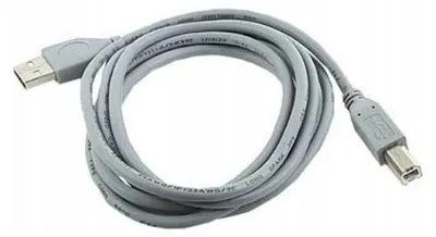 Image de InLine Câble USB 2.0 AM-BM 2m pour Imprimante