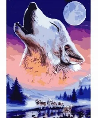 Produktbild von Malen nach Zahlen – Bild von einem Wolf, 50X40 Cm, mit Rahmen, kreativ