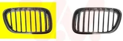 Image de VAN Wezel | Grille de radiateur (0685512)