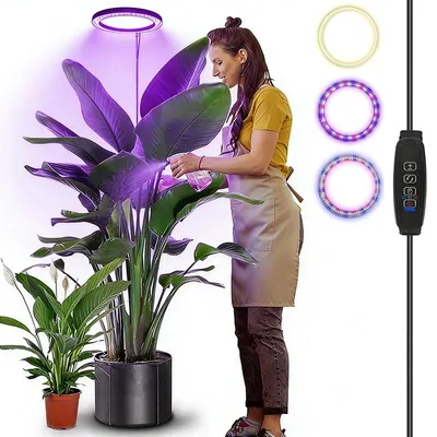 A woman waters a large plant under a ring-shaped grow light.