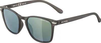 Produktbild von Alpina Yefe Grey-Transparent Matt Grey-Transparent Matt -
