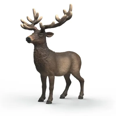 Produktbild von schleich WILD LIFE 14992, 3 Jahr(e), Kunststoff