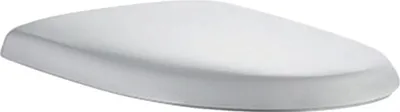 A white toilet seat lid shown from a diagonal angle.