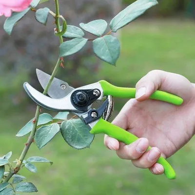 Productafbeelding van Unyqoos® 2-delige set tuinscharen – warmgeharde stalen messen met Tefloncoating, nylon handgrepen, 38,1 cm takkenschaar + 20,3 cm snoeischaar, veiligheidssluiting