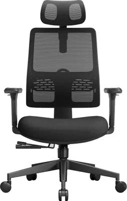 Obrázek produktu pro Ergonomická kancelářská židle, adaptivní bederní opěrka, nastavitelná opěrka hlavy, černá