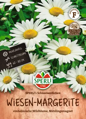 Produktbild von SPERLI Wiesen-Margeritensamen Schneeweißchen Leucanthemum vulgare 200 Pflanzen