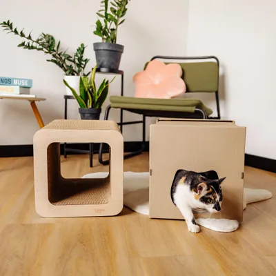Immagine prodotto di Creative Pets Tiragraffi Cartone per Gatti 37x30x30 | Giochi per Gatti 2 in 1 Tiragraffi+ Casetta di Cartone di Alta Qualità Rinforzato con Compensato