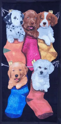 Produktbild von Bouton Strandtuch Liegetuch Saunatuch Duschtuch 76x152 Puppies Socken Hunde 4693
